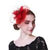 Flower Mesh, Ribbons and Feather Fedoras Hat