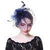 Flower Mesh, Ribbons and Feather Fedoras Hat
