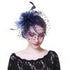 Flower Mesh, Ribbons and Feather Fedoras Hat