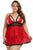 Transparent Babydoll Chemise Dress