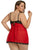Transparent Babydoll Chemise Dress
