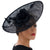 Mesh Elegant Feather Headdress