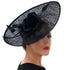 Mesh Elegant Feather Headdress