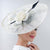 Mesh Elegant Feather Headdress